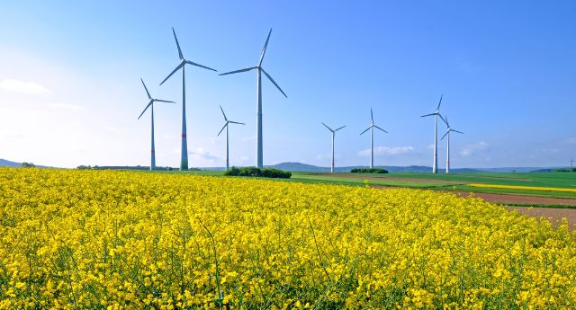 Environmental Insurance